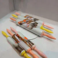 وردنه پلاستیکی