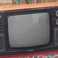 تلویزیون