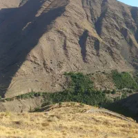 زمین زشک