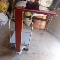 باسکول پویا