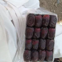 350تا مادر کارتون میانگین 7/300