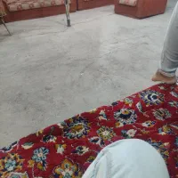 اجاره دکه فلکه الله