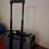 کیف حمل پت