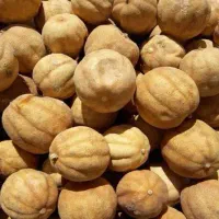 خرید و فروش لیمو خشک