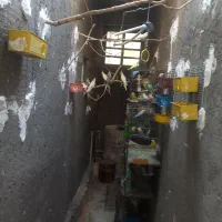 واگذاری انواع پرنده