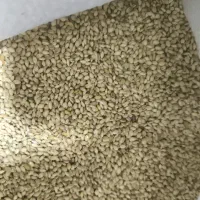 ارزن محلی تمیز