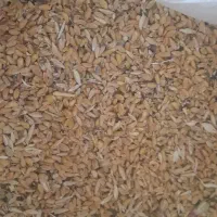 فروشی
