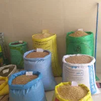 دانه پارس و گندم با کالابرگ