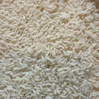 برنج دم‌سیاه کلات درجه یک