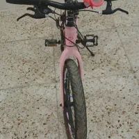 دوچرخه ۲۰ تنه بلند