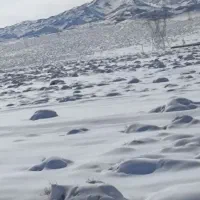 زمین کشاورزی باغ