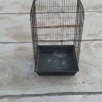 فروش قفس پرنده