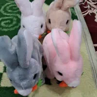 عروسک سخن گو