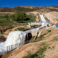توریکروزه شادوجذاب کوهرنگ