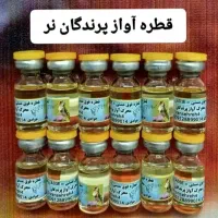 سهره مست کن