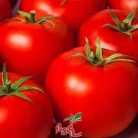 نیازمند کار گر برای چیدن گوجع