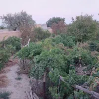 سهم آب چاه کشاورزی