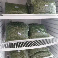 الو سبزی