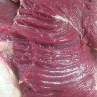 پخش خورده گوشت گوساله