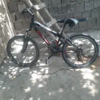 دوچرخه ۲۴ ویوا