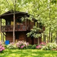 بهترین گزینه برای سرمایه گذاری