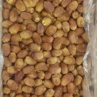 خرما زاهدی