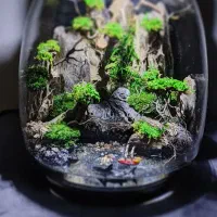 تراریوم شیشه ای