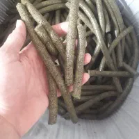 کنجاله کلزا