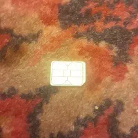 خط دائمی۲۹۱