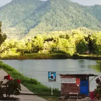 ویلا جنگلی