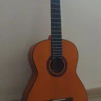 گیتار نو