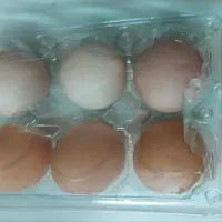 تخم مرغ محلی