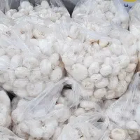 قارچ تازه به تازه