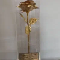 کیف کوله چرم - تندیس روکش طلا - ماگ دردار سرامیکی