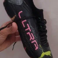 کفش اصلی
