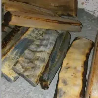 شاخ پرس شده