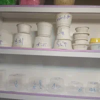 سطل های و کاسه گیاهی آملون