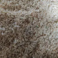 فروش برنج چمپا  کیلو 400 تخفیف دارد