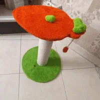 اسکچر گربه نو نو