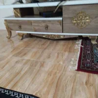 زیر تلویزیونی