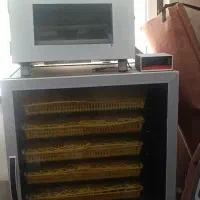 دستگاه جوجه کشی ققنوس 420 عددی