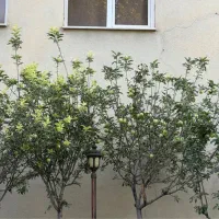 زوج-محدوده-شهرک-بهشتی-و-دنا
