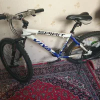 دوچرخه ویوا اسپریت تایوانی اصل