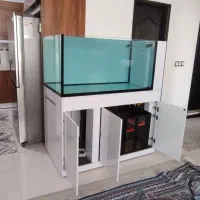 آکواریوم ریملس