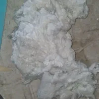 الیاف