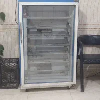 دستگاه جوجه کشی