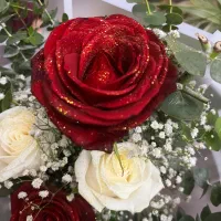 پیج ۲۷k فروشی