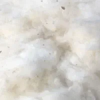 حدود ۴۰ کیلو پنبه درجه ۱ برایه رختخواب عروس