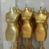 انواع مانکن و رگال کوچک