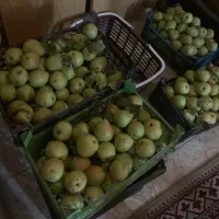 چند جعبه گلابی